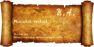Mucska Antal névjegykártya